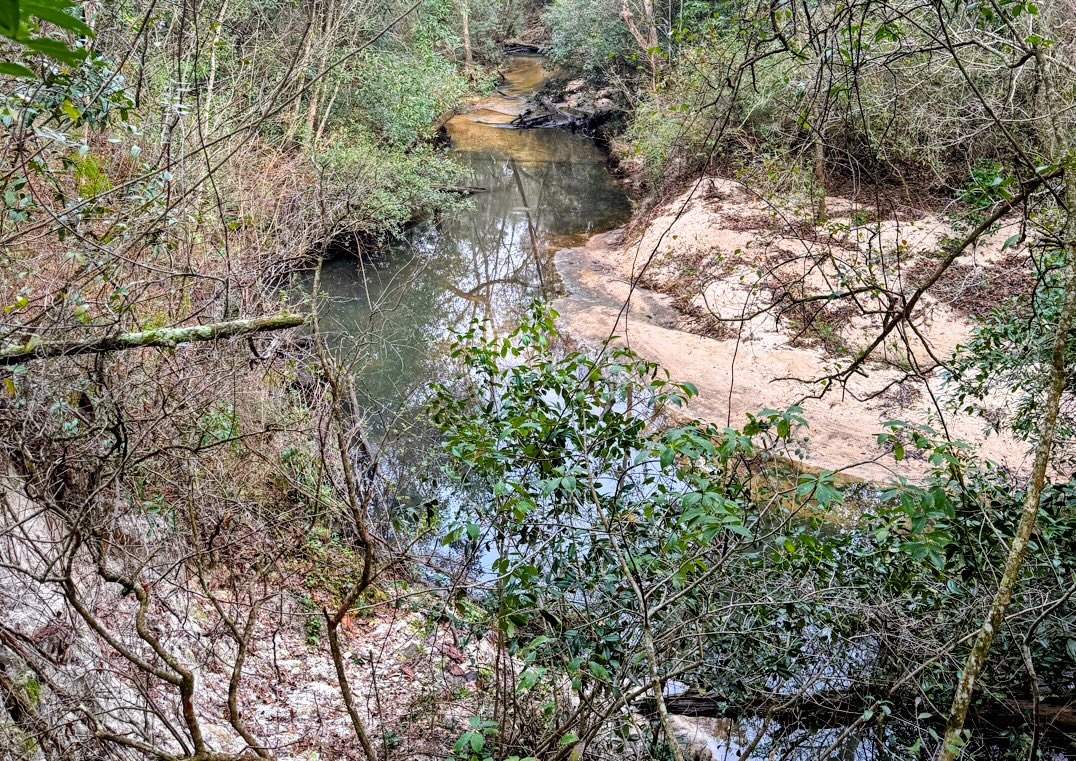 Flying Creek Preserve in Fairhope, Alabama Is Open…and Fairhope Should Be Proud